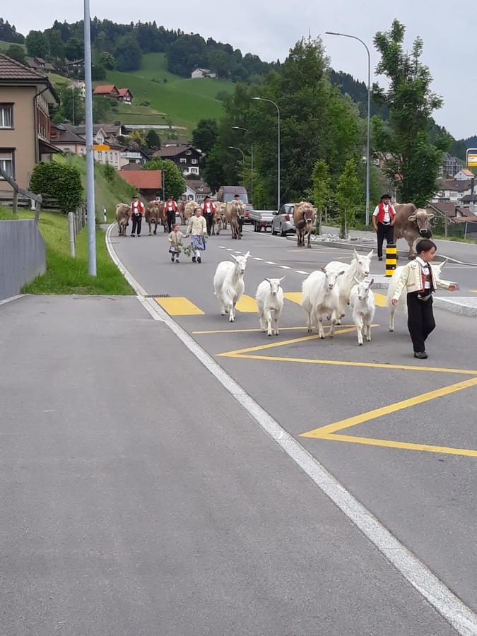 Ferienwohnung klein aber fein Urnäsch Exterior foto
